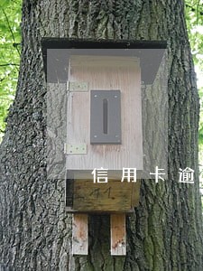 信用卡逾期返清可以借钱不 信用卡逾期返清可以借钱不
