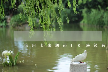 信用卡逾期还10块钱有意义吗 信用卡逾期还10块钱有意义吗