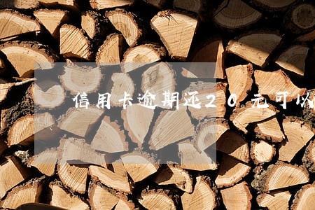 信用卡逾期还20元可以吗 信用卡逾期还20元可以吗