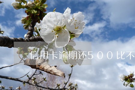 信用卡逾期还500比不还强么 信用卡逾期还500比不还强么