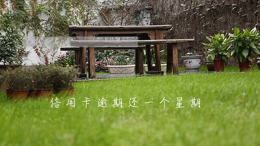 信用卡逾期还一个星期 信用卡逾期还一个星期