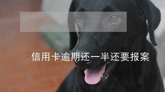 信用卡逾期还一半还要报案 信用卡逾期还一半还要报案