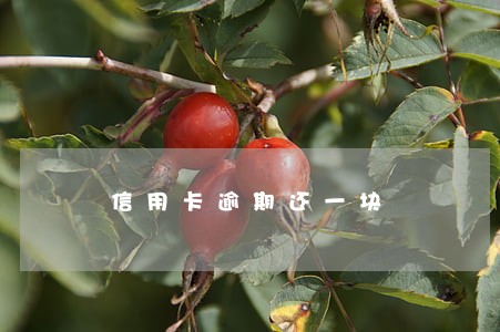 信用卡逾期还一块 信用卡逾期还一块