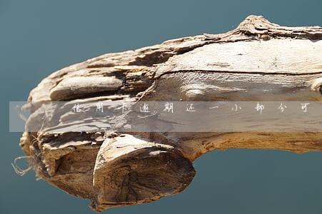 信用卡逾期还一小部分可以吗 信用卡逾期还一小部分可以吗