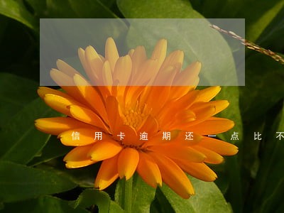 信用卡逾期还一点比不还好吗