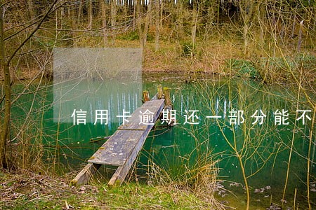 信用卡逾期还一部分能不能刷 信用卡逾期还一部分能不能刷