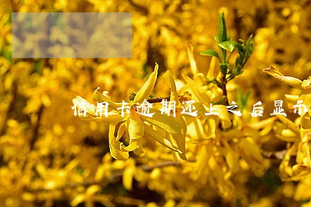信用卡逾期还上之后显示已挂失 信用卡逾期还上之后显示已挂失