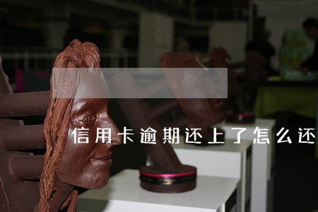 信用卡逾期还上了怎么还打电话 信用卡逾期还上了怎么还打电话