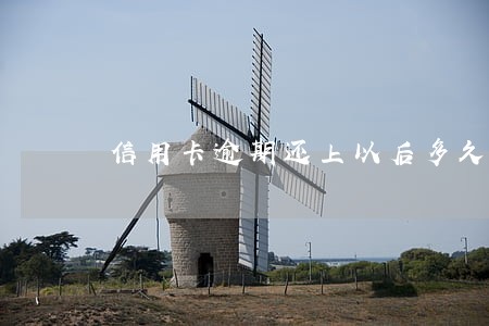 信用卡逾期还上以后多久能使用