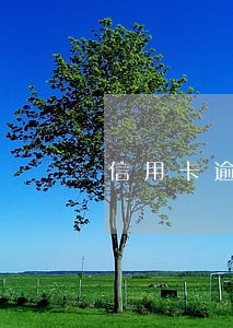 信用卡逾期还上以后还能办吗 信用卡逾期还上以后还能办吗