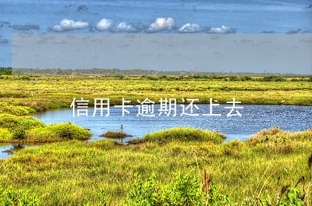信用卡逾期还上去 信用卡逾期还上去