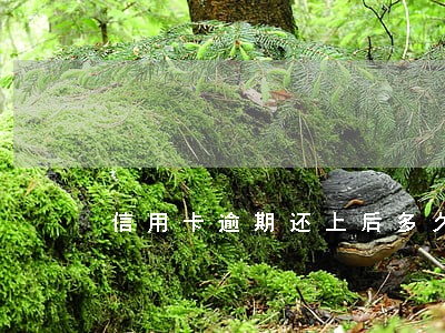 信用卡逾期还上后多久能更新 信用卡逾期还上后多久能更新