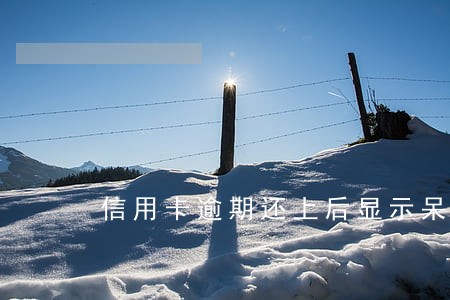 信用卡逾期还上后显示呆账