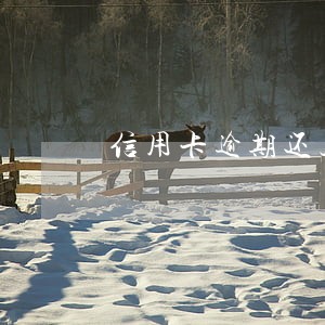信用卡逾期还上后注销 信用卡逾期还上后注销