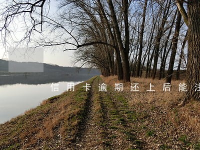 信用卡逾期还上后能注销吗 信用卡逾期还上后能注销吗
