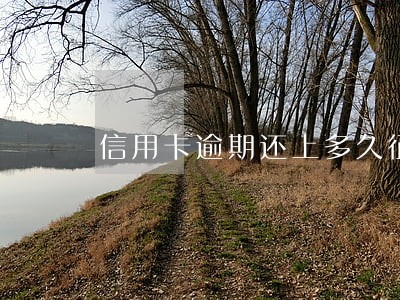 信用卡逾期还上多久征信更新 信用卡逾期还上多久征信更新