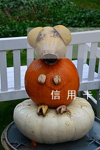 信用卡逾期还上如何消除征信 信用卡逾期还上如何消除征信