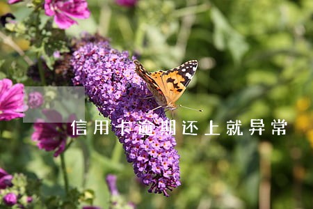信用卡逾期还上就异常 信用卡逾期还上就异常