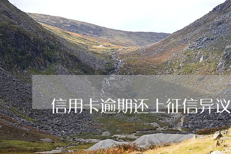 信用卡逾期还上征信异议 信用卡逾期还上征信异议