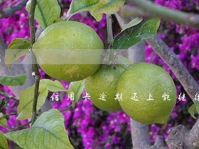 信用卡逾期还上能继续使用吗