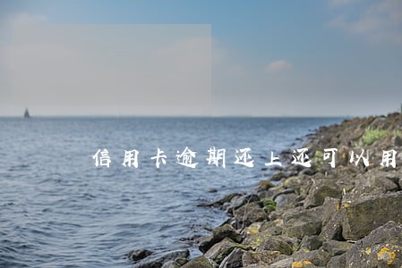 信用卡逾期还上还可以用吗 信用卡逾期还上还可以用吗