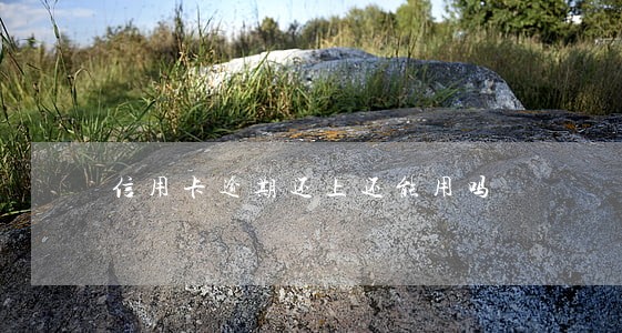 信用卡逾期还上还能用吗 信用卡逾期还上还能用吗