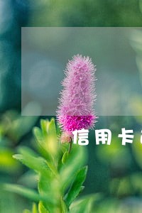 信用卡逾期还上钱吗 信用卡逾期还上钱吗