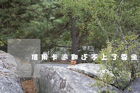 信用卡逾期还不上了要坐牢
