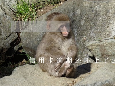 信用卡逾期还不上了还能再用吗