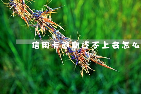 信用卡逾期还不上会怎么办 信用卡逾期还不上会怎么办
