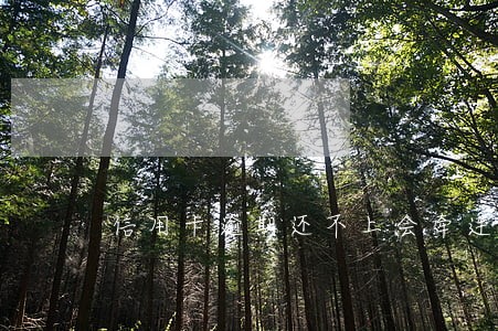 信用卡逾期还不上会牵连妻子吗 信用卡逾期还不上会牵连妻子吗