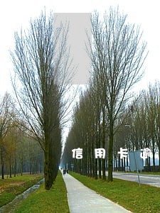 信用卡逾期还不上会被报警吗 信用卡逾期还不上会被报警吗