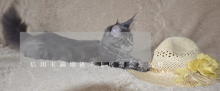 信用卡逾期还不上传票会怎么样 信用卡逾期还不上传票会怎么样