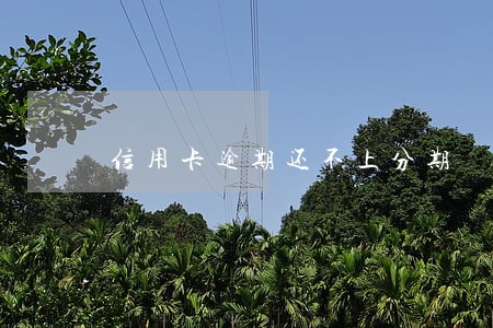 信用卡逾期还不上分期 信用卡逾期还不上分期