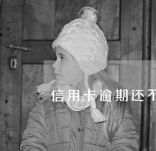 信用卡逾期还不上利率有多高