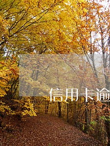 信用卡逾期还不上可以分期 信用卡逾期还不上可以分期