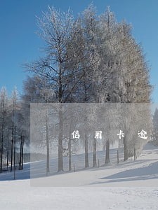 信用卡逾期还不上可以分期付款 信用卡逾期还不上可以分期付款