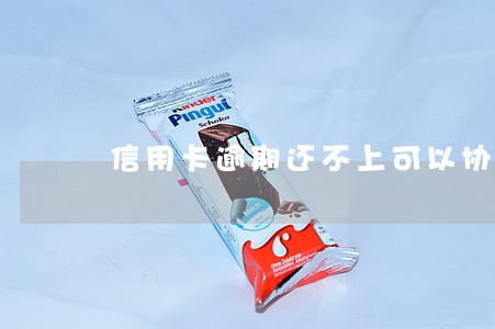 信用卡逾期还不上可以协商