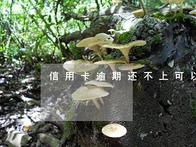 信用卡逾期还不上可以申请减免 信用卡逾期还不上可以申请减免