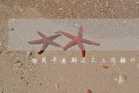 信用卡逾期还不上同银行协商