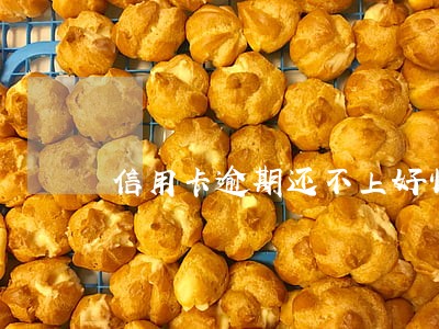 信用卡逾期还不上好怕