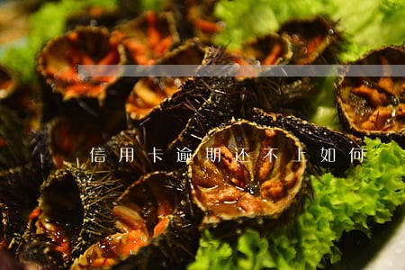 信用卡逾期还不上如何 信用卡逾期还不上如何