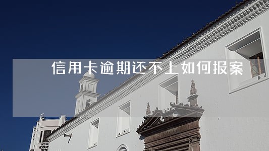 信用卡逾期还不上如何报案