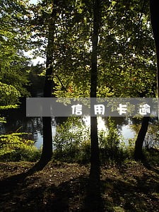 信用卡逾期还不上家属有影响吗 信用卡逾期还不上家属有影响吗