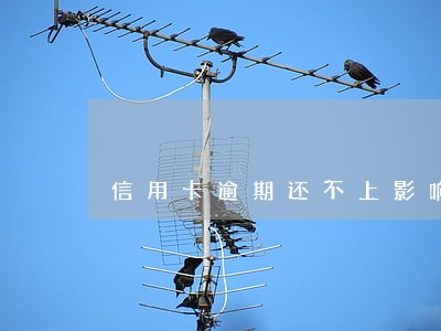 信用卡逾期还不上影响孩子上学吗 信用卡逾期还不上影响孩子上学吗