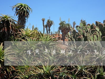 信用卡逾期还不上怎么办会怎样 信用卡逾期还不上怎么办会怎样