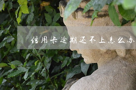信用卡逾期还不上怎么办可以吗 信用卡逾期还不上怎么办可以吗