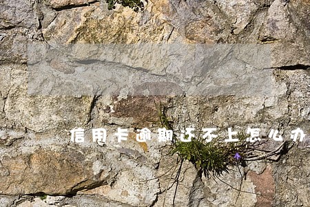 信用卡逾期还不上怎么办能办吗 信用卡逾期还不上怎么办能办吗