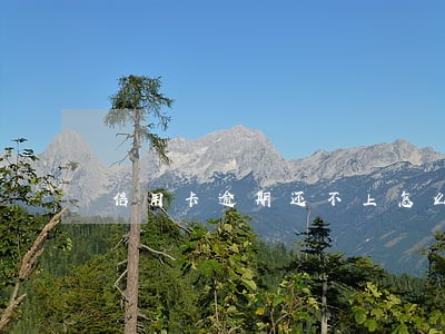 信用卡逾期还不上怎么和他们协商 信用卡逾期还不上怎么和他们协商
