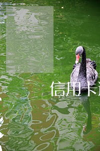 信用卡逾期还不上怎么解决 信用卡逾期还不上怎么解决